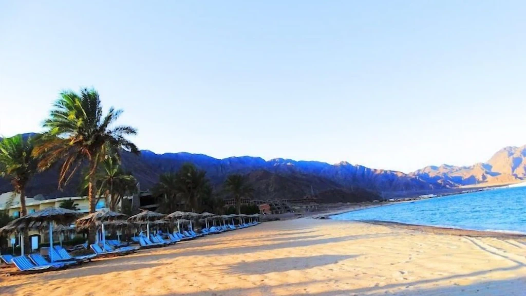 الفندق لابلايا بيتش ريزورت - طابا